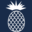 455stoningtonroad.com favicon